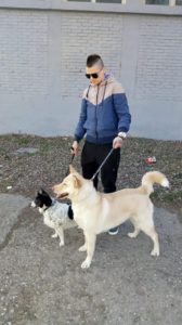 SVAKODNEVNA SETNJA PASA