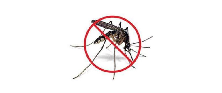 Počinje zaprašivanje komaraca