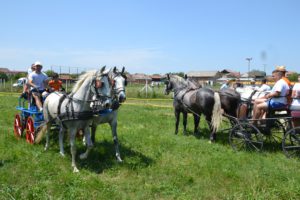 вежба пред старт