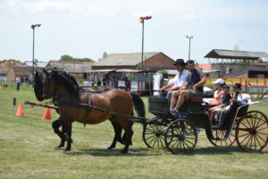 за такмичење и параду