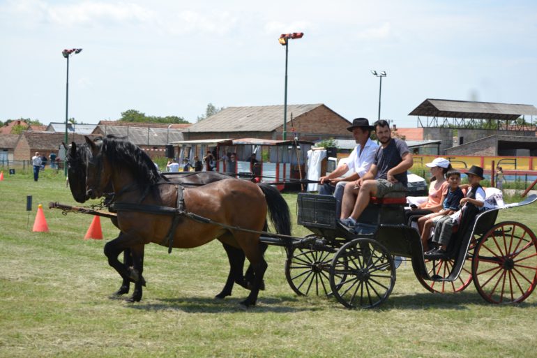 Konji su ukras svakog sela