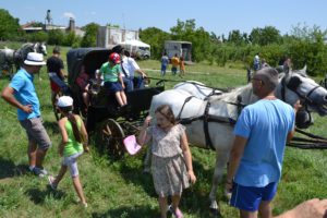 много деце на фијакеријади