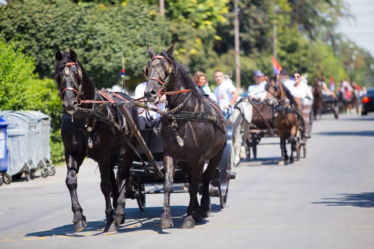 “Balkanika”, fijakerijada i Vinarske noći