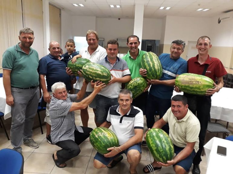 Najslađe su rivičke lubenice