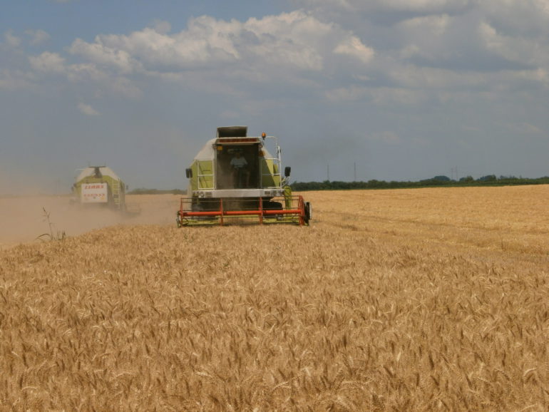 Za licitaciju 834 hektara