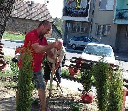 Akcija ozelenjavanja u Moroviću