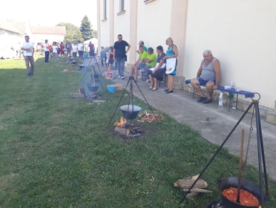 Peti po redu sremski bećarac