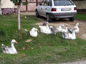 20191005_144955