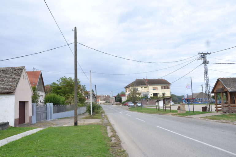 Po grožđu i vinu poznati u celom svetu