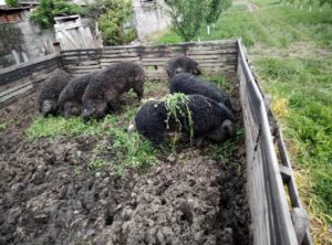 на отвореном