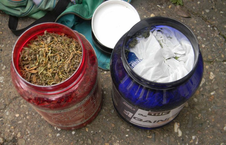 Zaplenjena marihuana