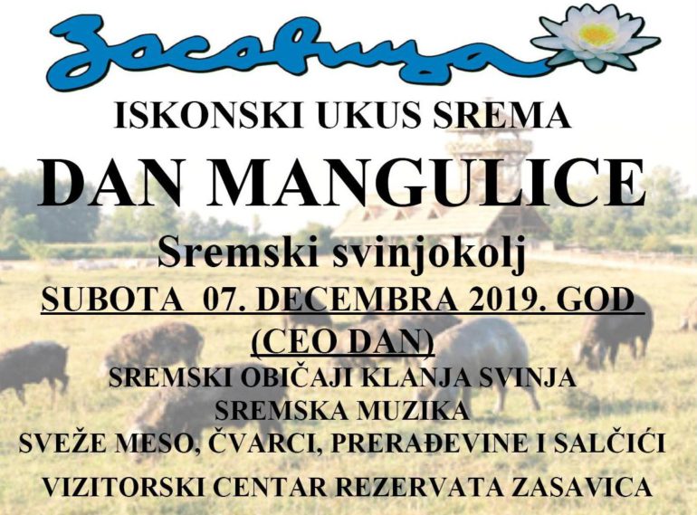 Kako je mangulica ponovo zaživela