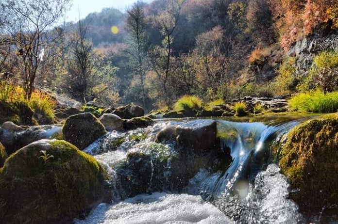 Fotografija Siniše Nikolića medju najboljima