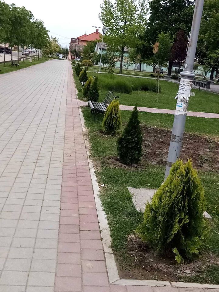 Zelenilo i cveće u centru Laćarka