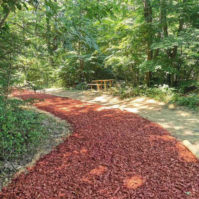 Staza zdravlja na Lipovači