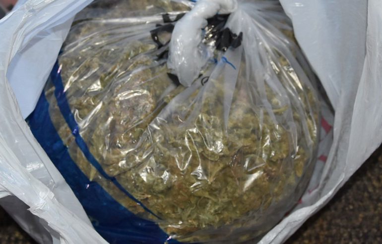 Zaplenjena marihuana