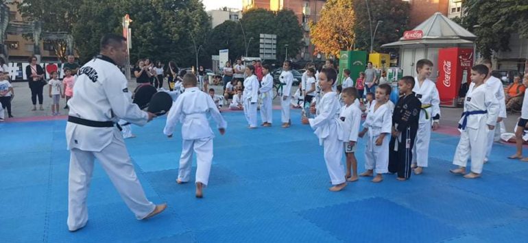 Humanitarna promocija tekvonda