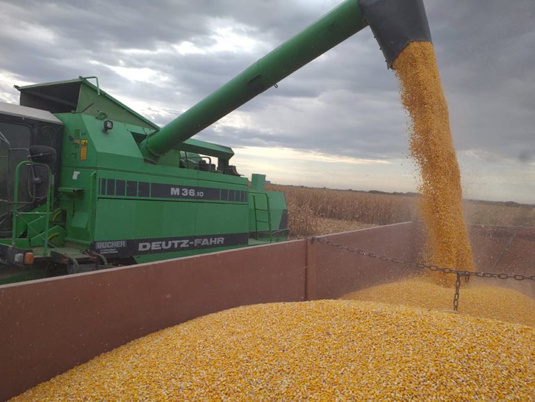 Jesen na sremskim poljima: šarenilo od prinosa