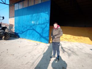 svinje se hrane sopstvenim kukuruzom