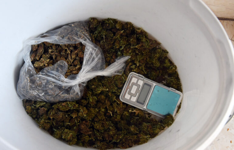 Krivična prijava protiv Mitrovčanina: U stanu marihuana, u dvorištu konoplja