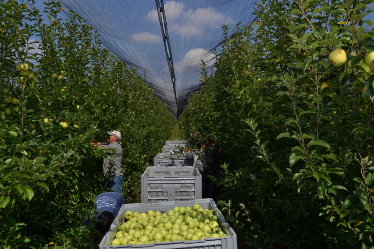 Težak hleb od povremenih i sezonskih poslova