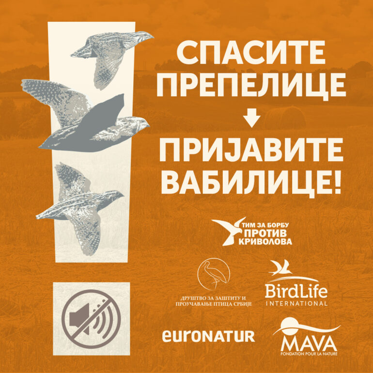 Spasite prepelice – Prijavite vabilice!