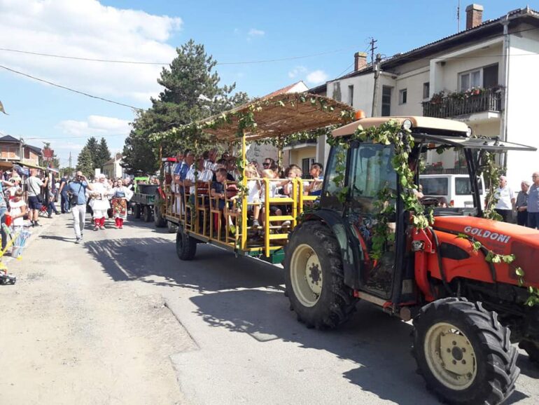 Danas i sutra Banoštorski dani grožđa