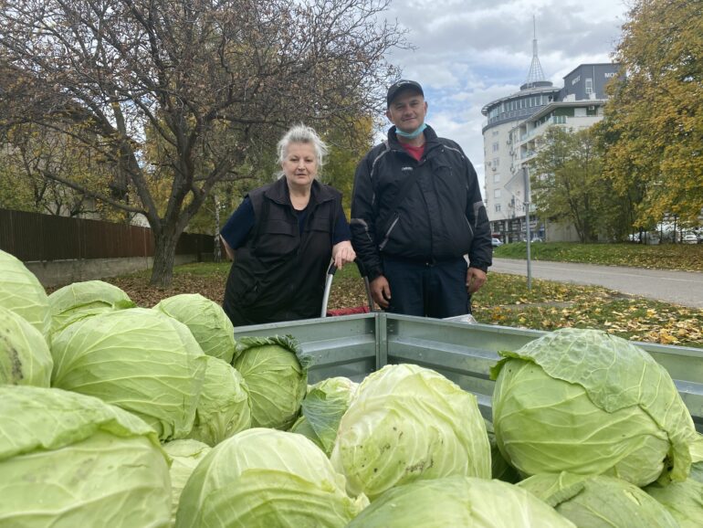 Razgovor sa povrtarem Ljubišom Beićem: Zelene glavice i domaći srebrenac