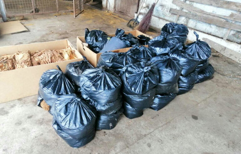 Policija u Sremskoj Mitrovici zaplenila preko 400 kilograma duvana
