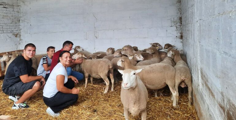 Kuzminac Borislav Mirković poručuje: Ovčarstvo je isplativ posao