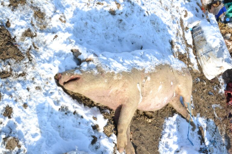 Nisu komunalci krivi, mi smo g…