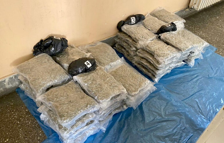 Sremskomitrovačka policija zaplenila 48,8 kg marihuane FOTO