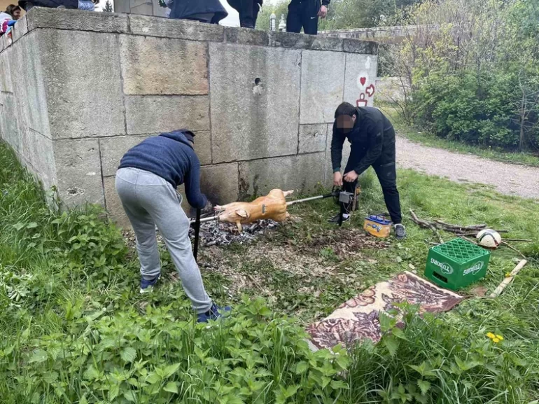 Šta smo i da li smo pobedili?
