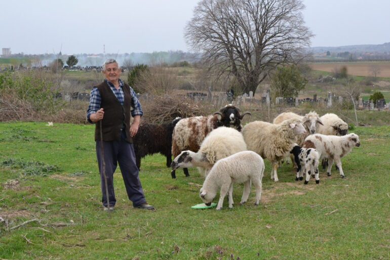 STARIM PUTEM U RANO PROLEĆE: U potrazi za pričom…