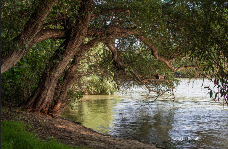 Treća Međunarodna fotografsko-ekološka kolonija „Dunav“