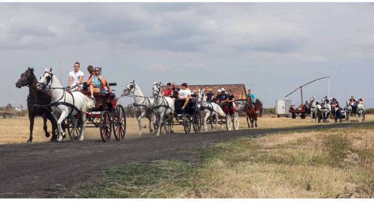 U Ogaru održana prva memorijalna fijakerijada