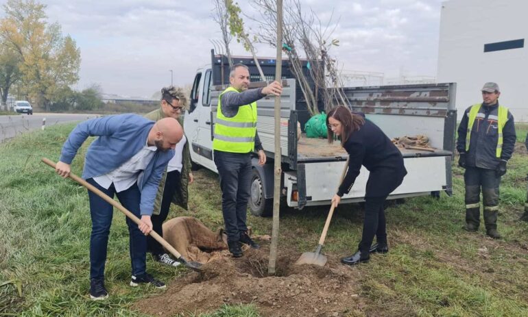Počela realizacija projekta „Velika sadnja – Zeleni prsten“ u Sremskoj Mitrovici