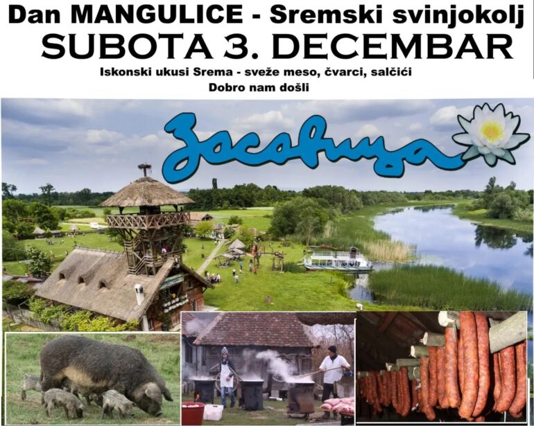 Dan mangulice – sremski svinjokolj u subotu, 3. decembra