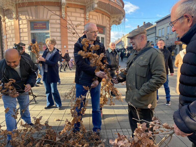 Besplatni badnjaci za Mitrovčane