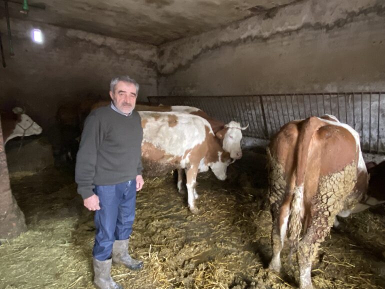NIKOLA KOVAČEVIĆ IZ SUSEKA VEĆ GODINAMA DRŽI KRAVE MUZARE –  Od ovog posla imamo samo pokidanu dušu