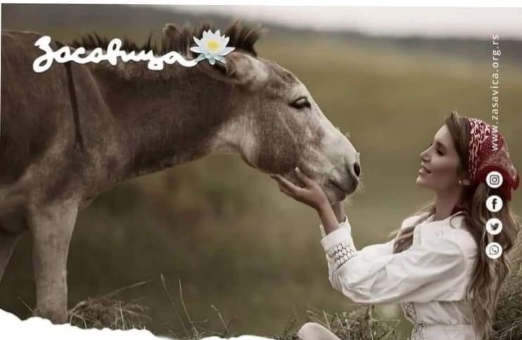 XV Dan magarica u Rezervatu „Zasavica“