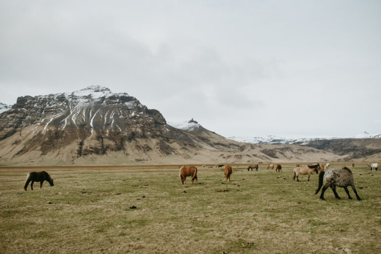 КAMPEROM U OBILASКU ISLANDA: U zemlji vikinga (FOTO)