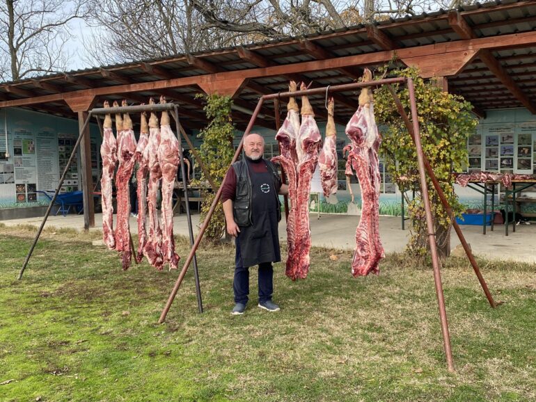 „Dan mangulica“ u Zasavici