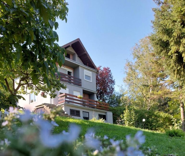 Povratak selu i sopstveni biznis