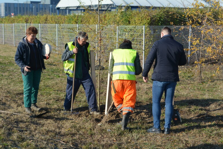 Inđiji 5,4 miliona dinara za pošumljavanje industrijskih zona