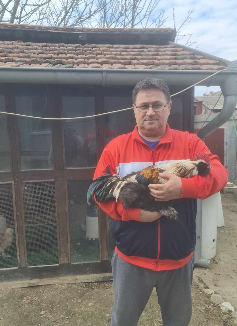 LAĆARAK: Ništa bez domaćih jaja!