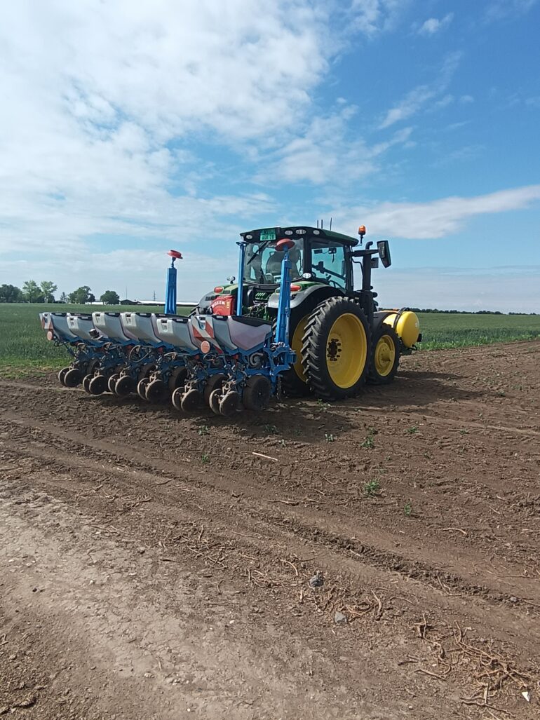 Prezentacija na oglednom polju „Đurđević“ u Inđiji