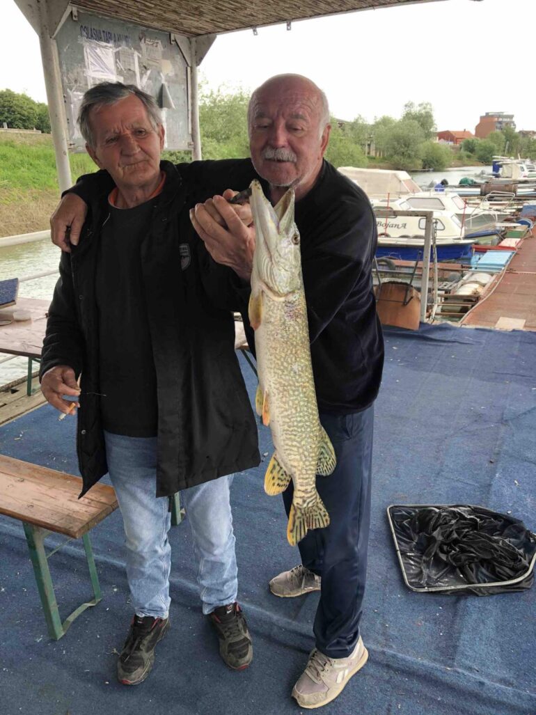 Upecali štuku, debelu k’o ruku!