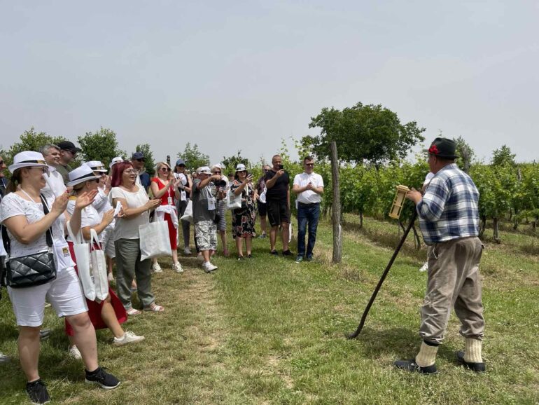 Fruškogorska vinska šetnja u Irigu