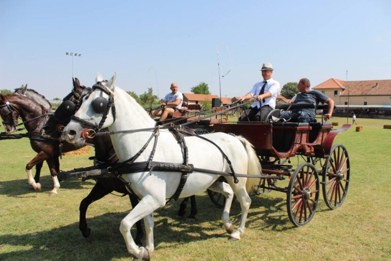 Najlepši lipicaneri i barokne kočije u Klenku
